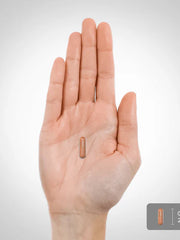 Load image into Gallery viewer, PIPING ROCK Turmeric Curcumin - 1500mg - 120 capsules