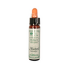 AINSWORTHS ORIGINAL DR BACH METHOD FLOWER ESSENCE - MUSTARD (Sinapis Arvensis For Deep Depression, Sadness, Gloom) 10ml