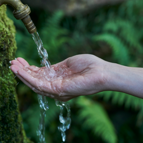 We are what we drink... What water ARE YOU?