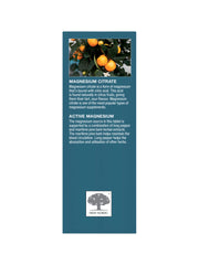 Load image into Gallery viewer, New Nordic ACTIVE MAGNESIUM CITRATE - 750mg - 60 tabs