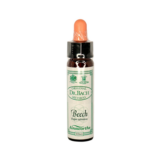 Ainsworths Original Dr Bach Method Flower Essence BEECH -Intolerant, Critical Of Others