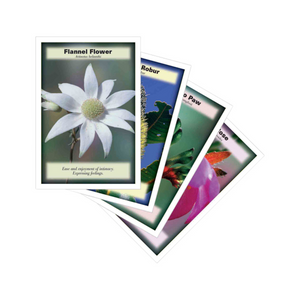 AUSTRALIAN BUSH FLOWER ESSENCES  Insight Cards - 69 pack