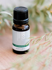Load image into Gallery viewer, Eco Modern Essentials Kunzea Tasmanian Pure Essential Oil 10mL ~ MUST-HAVE FOR YOUR HOME MEDICINE KIT!
