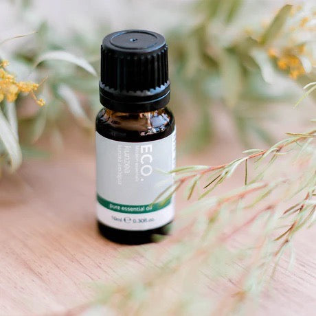 Eco Modern Essentials Kunzea Tasmanian Pure Essential Oil 10mL ~ MUST-HAVE FOR YOUR HOME MEDICINE KIT!