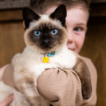 Load image into Gallery viewer, Orgone Effects PET PENDANT® Animal Protection Against EMR (Circular Pendant)
